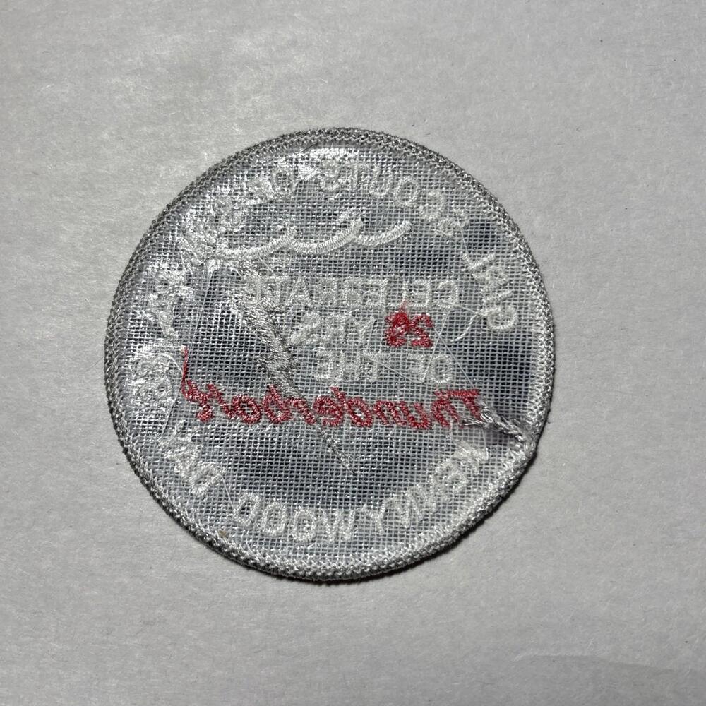 1993 Girl Scouts Of S.W.P.A.  Collectible “Celebrate 25 Yrs Of The Thunderbolt” - Picture 2 of 2